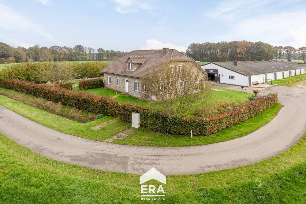 Boerderij te  koop in Peer 3990 0.00€ 5 slaapkamers 310.00m² - Zoekertje 314163